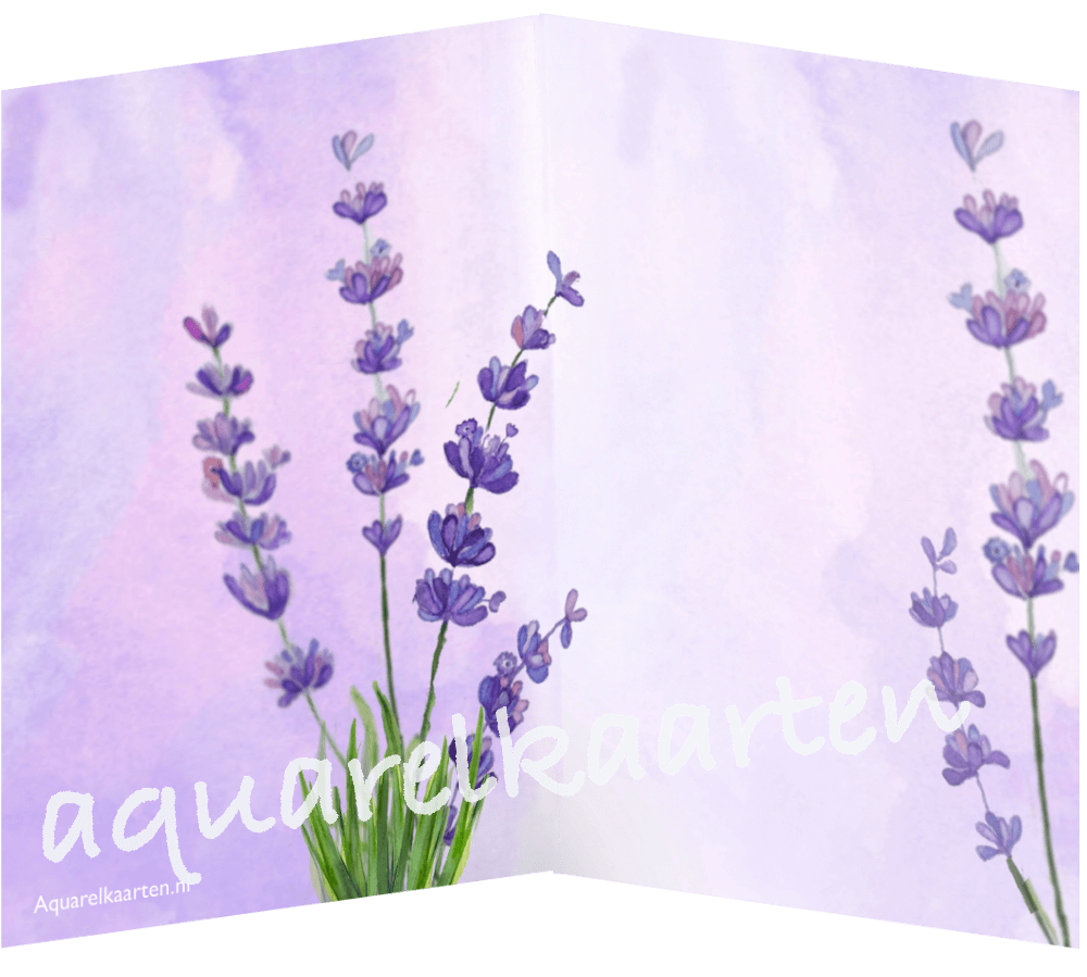Lavendel binnenkant